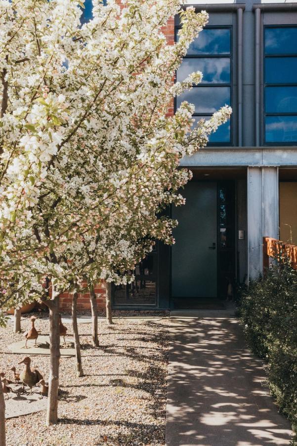 Mews Cottages Гисборн Экстерьер фото